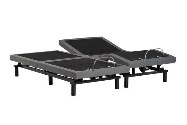 True Motion 600 Adjustable Base