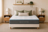 Morrison Signature Siesta Deluxe mattress with plush pillow-top and signature teal border, styled in a coastal-inspired bedroom with sage green and linen cushions