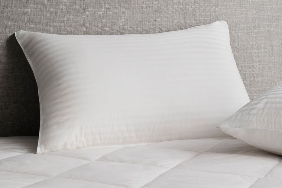Sheridan discount box pillows