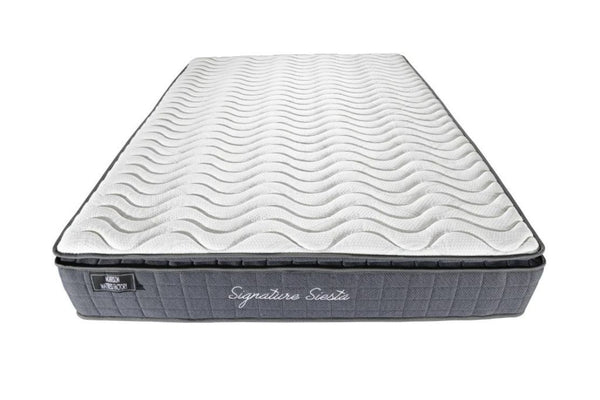 Morrison Mattress Factory Signature Siesta Mattress-in-a-Box
