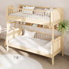 Matilda Single Bunk Bed with Ladder