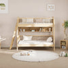 Matilda Single Bunk Bed with Ladder