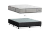 Sealy Posturepedic Exquisite Endor II Mattress & Base Ensemble Package - Firm Feel - Best in Beds