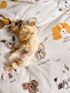 Linen House Kids Woof Woof Quilt Cover Set