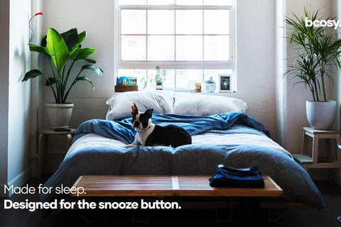 The Bcosy Mattress - Made for Sleep. Designed for Sundays. Designed for the Snooze Button. Dog on bed. Hybrid Mattress