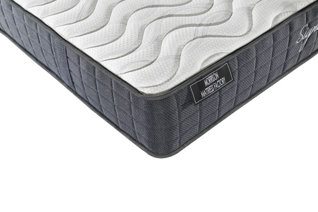 Morrison Signature Zzz Mattress Best in Beds